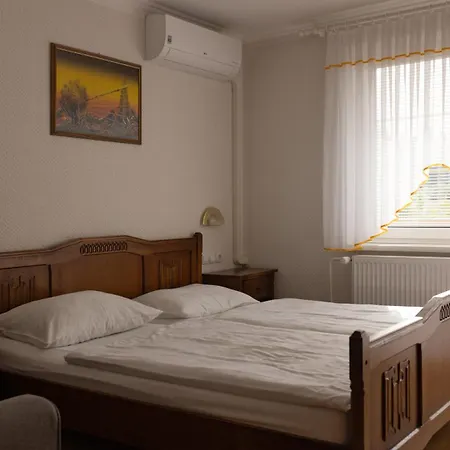 两只公鸡家庭旅馆 招待所 3*