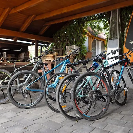 两只公鸡家庭旅馆 布莱德