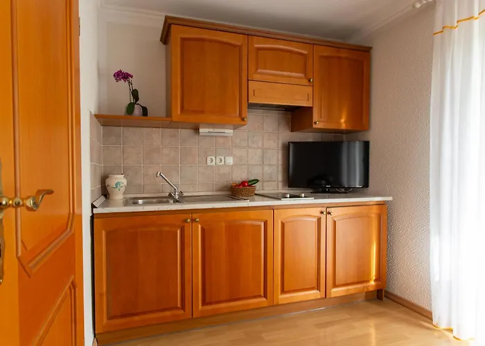 Πανσιόν Gostisce Pri Dveh Petelinih