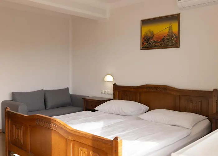 Πανσιόν Gostisce Pri Dveh Petelinih