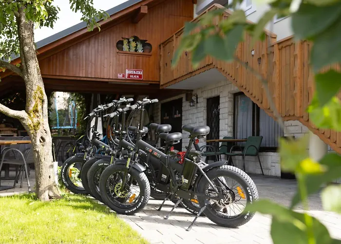 Gostisce Pri Dveh Petelinih Πανσιόν